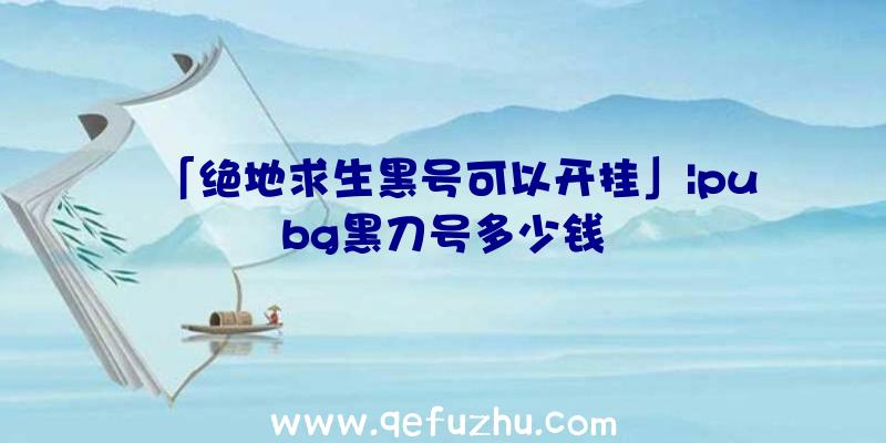 「绝地求生黑号可以开挂」|pubg黑刀号多少钱